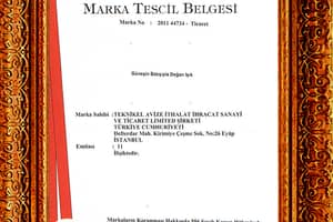 Teknikel Avize - Factory Images 73
