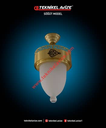25 Cm Çap Çember Dışı Dekoratif Rozetli Tekli Tavan Avize - Teknikel Chandelier