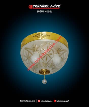 35 Cm Çap Çember Dışı Dekoratif Rozetli 1 Çemberli Tavan Avize - Teknikel Chandelier